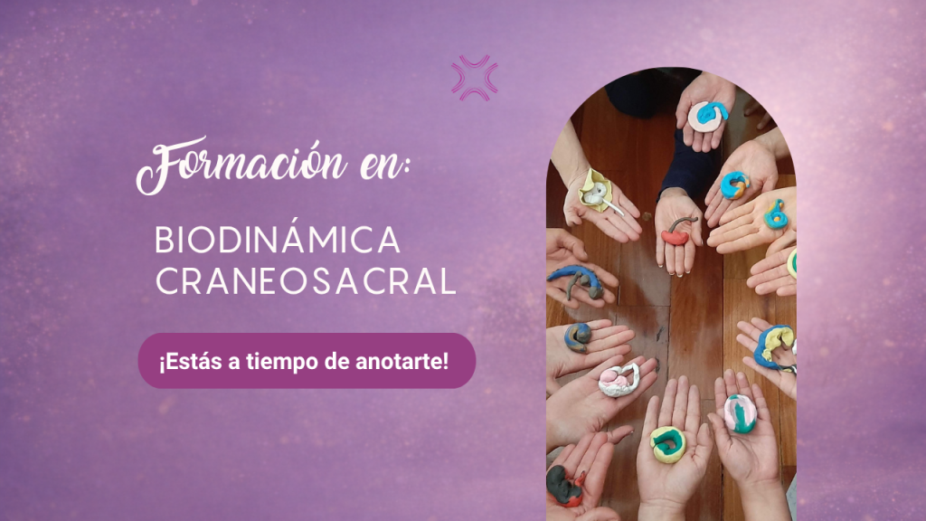 Formación en Biodinámica Craneosacral. NIVEL 2. CUOTA MAYO