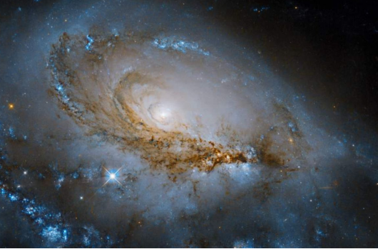 Vortexhealing®- Horario PM. Primera sesión gratis.