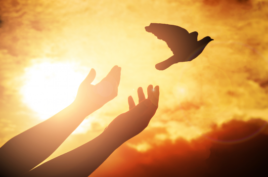 Meditación: el corazón del silencio – gratuito