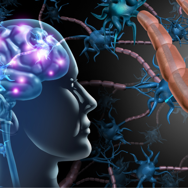 Terapias Complementarias Basadas en Neurociencia: Manejo del Trauma